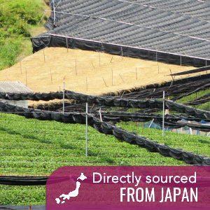 Barista's Premium Japanese Matcha Value Pouch (200g / 7 oz)