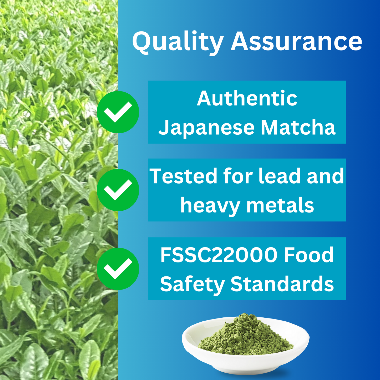 Barista's Matcha Latte Triple Bundle